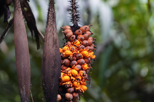 Frizz Control: How to Reduce Frizz and Improve Hair Smoothness